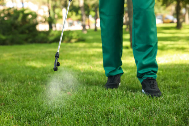Best Commercial Pest Control Services  in Kahoka, MO