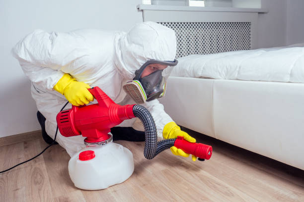 Best Best Pest Control Companies  in Kahoka, MO