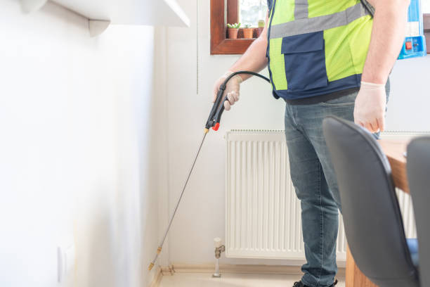 Best Pest Control Treatment  in Kahoka, MO