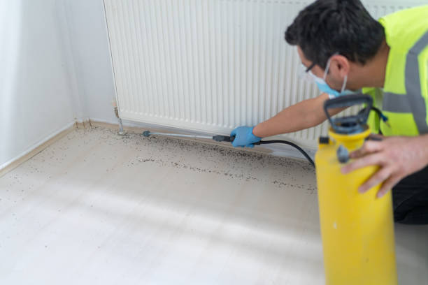 Best Bed Bug Extermination  in Kahoka, MO