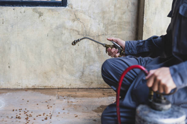 Pest Control Cost in Kahoka, MO